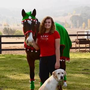 Meet your Posher, Ciaran